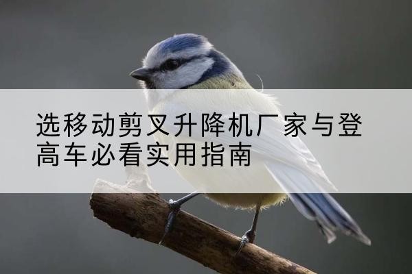 静乐电动升降机厂家-选移动剪叉升降机厂家与登高车必看实用指南