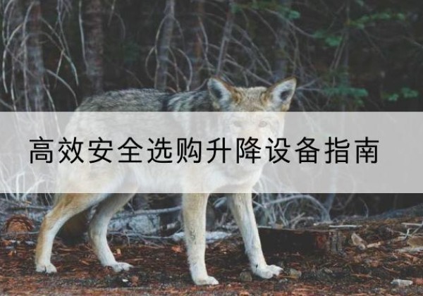 静乐升降货梯厂家推荐-*安全选购升降设备指南
